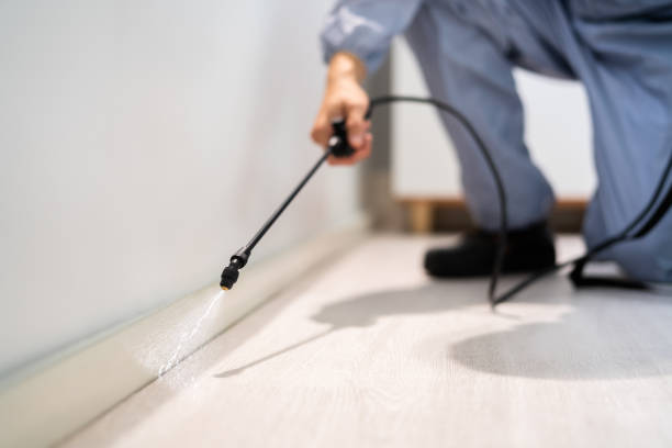 Best Pest Control Treatment  in Juneau, AK