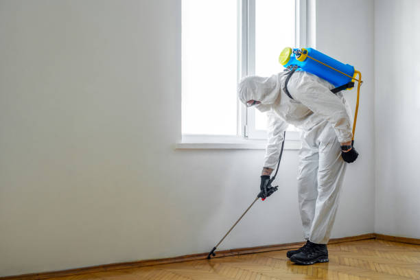 Best Best Pest Control Companies  in Juneau, AK