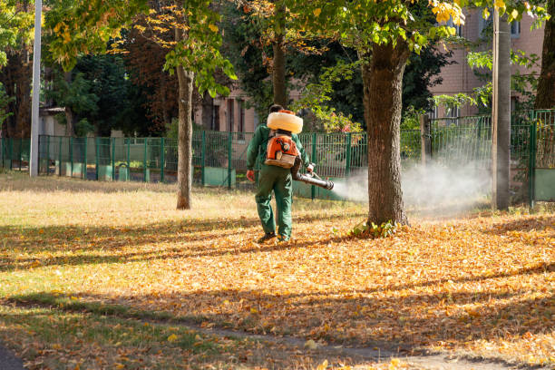Best Exterminator Services  in Juneau, AK