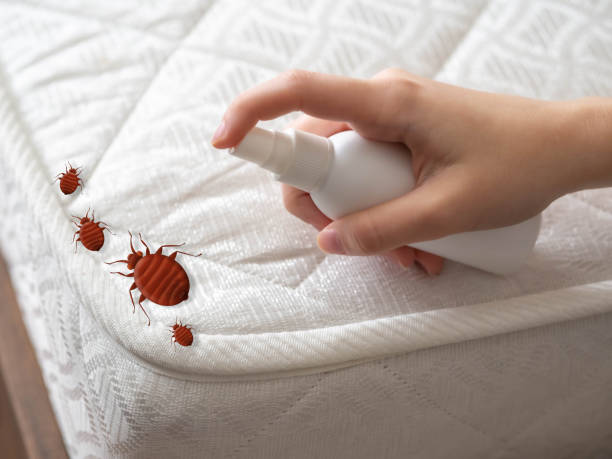Professional Pest Control in Juneau, AK
