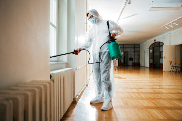 Best Wasp Removal Services  in Juneau, AK