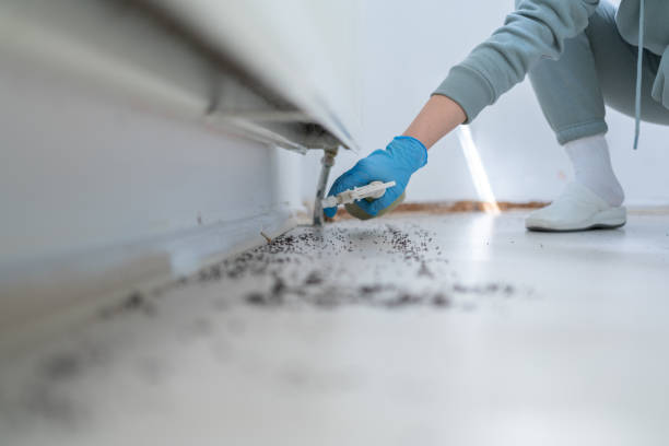 Best Pest Control Near Me  in Juneau, AK